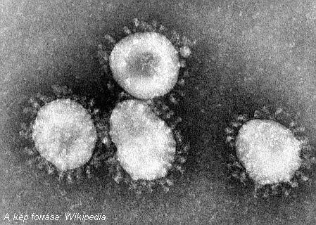 Tájékoztatás a koronavírus-járvánnyal kapcsolatban